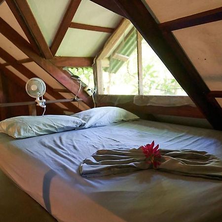 Luz En El Cielo Eco-B&B/Hostel モンテスマ エクステリア 写真