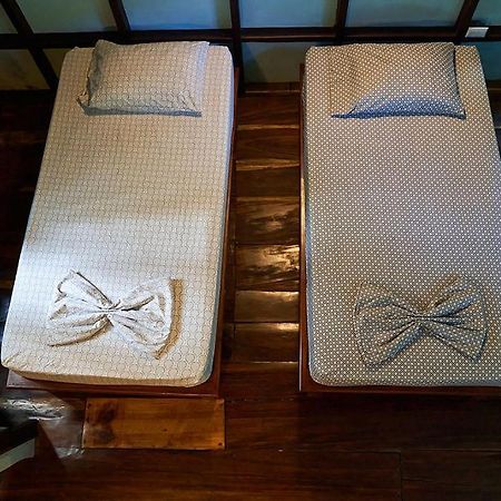 Luz En El Cielo Eco-B&B/Hostel モンテスマ エクステリア 写真