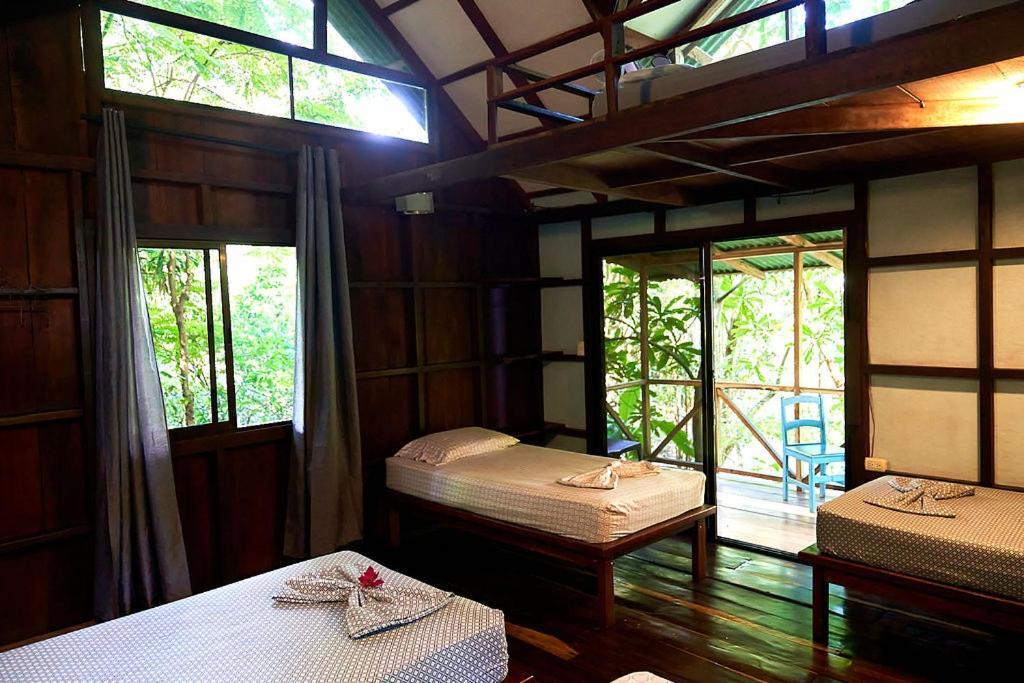 Luz En El Cielo Eco-B&B/Hostel モンテスマ エクステリア 写真