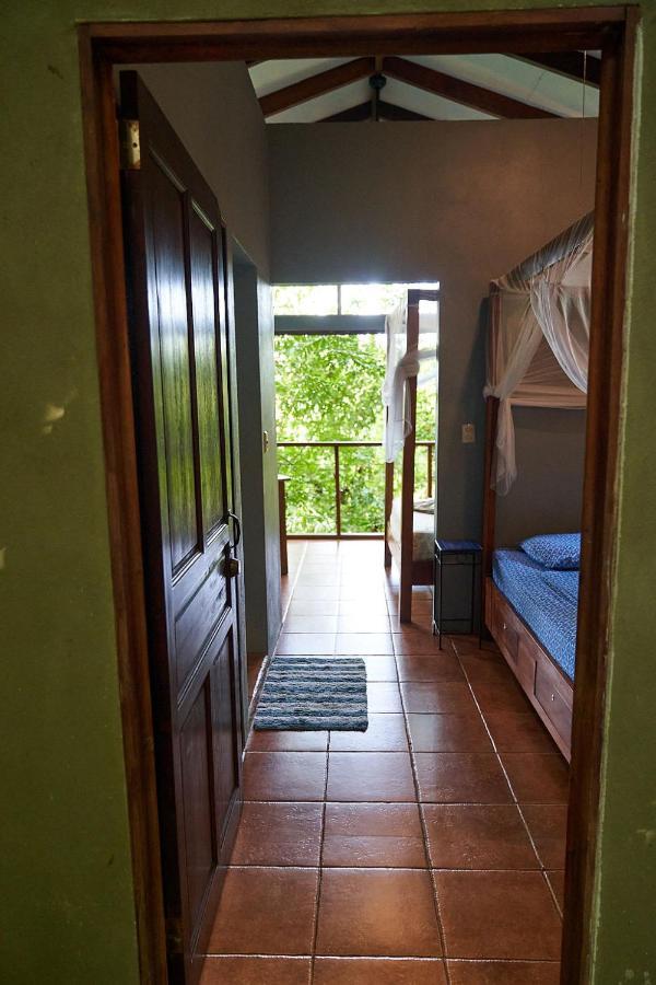 Luz En El Cielo Eco-B&B/Hostel モンテスマ エクステリア 写真