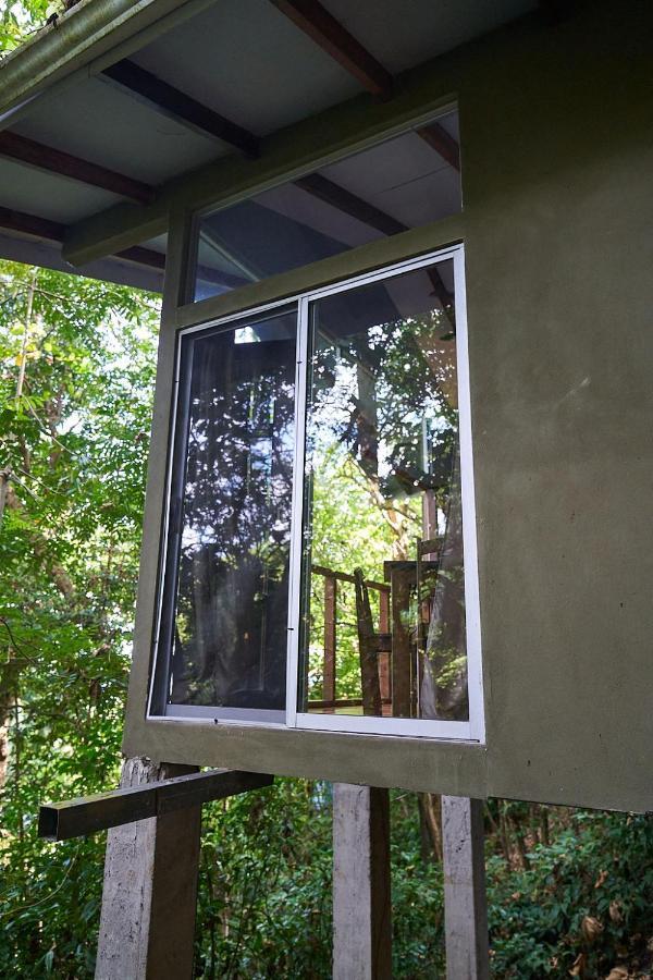 Luz En El Cielo Eco-B&B/Hostel モンテスマ エクステリア 写真