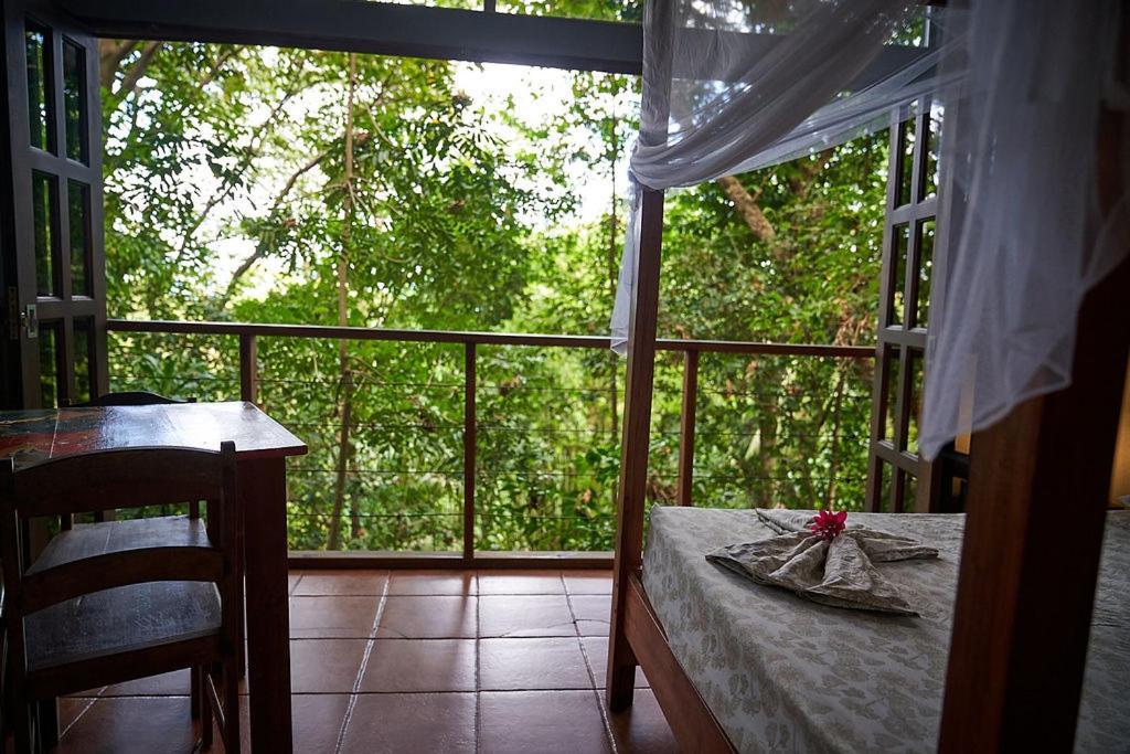 Luz En El Cielo Eco-B&B/Hostel モンテスマ エクステリア 写真