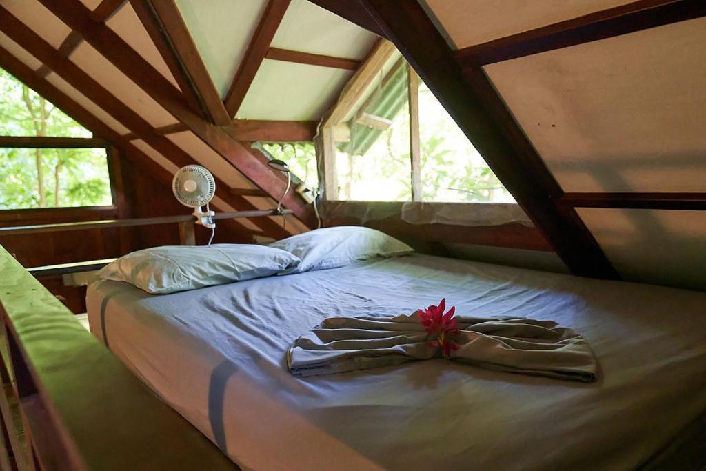 Luz En El Cielo Eco-B&B/Hostel モンテスマ エクステリア 写真