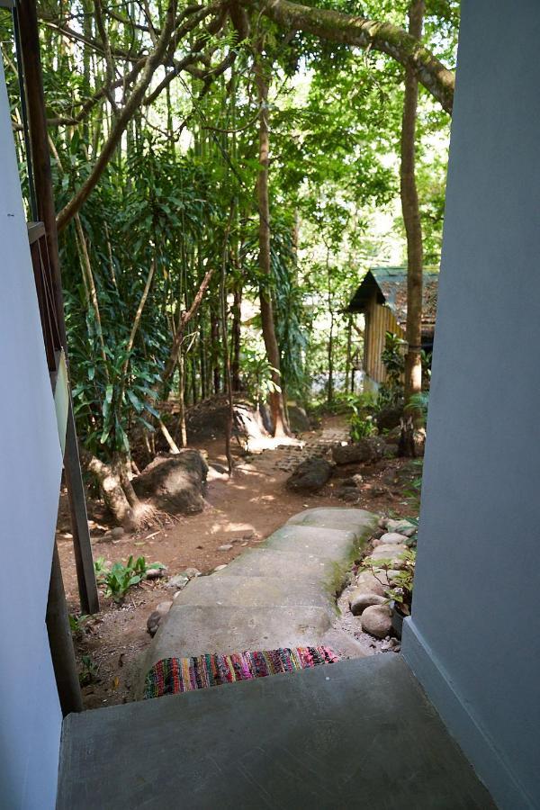 Luz En El Cielo Eco-B&B/Hostel モンテスマ エクステリア 写真