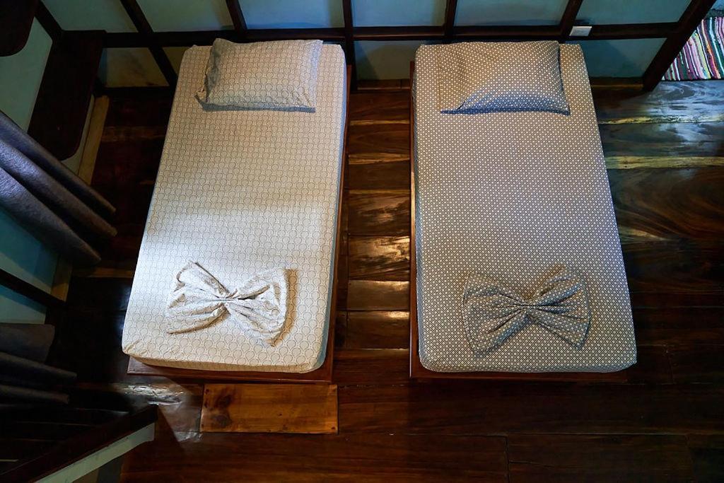 Luz En El Cielo Eco-B&B/Hostel モンテスマ エクステリア 写真