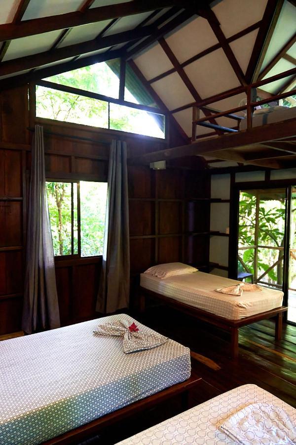 Luz En El Cielo Eco-B&B/Hostel モンテスマ エクステリア 写真