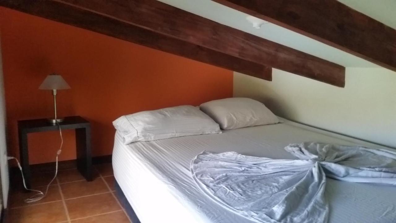 Luz En El Cielo Eco-B&B/Hostel モンテスマ エクステリア 写真
