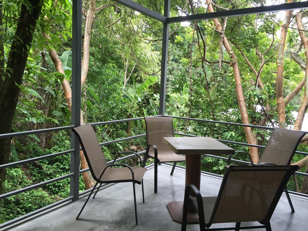 Luz En El Cielo Eco-B&B/Hostel モンテスマ 部屋 写真