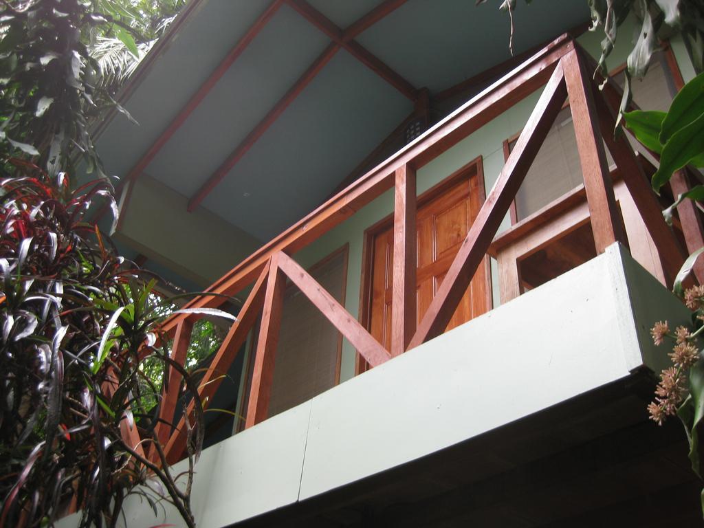 Luz En El Cielo Eco-B&B/Hostel モンテスマ 部屋 写真