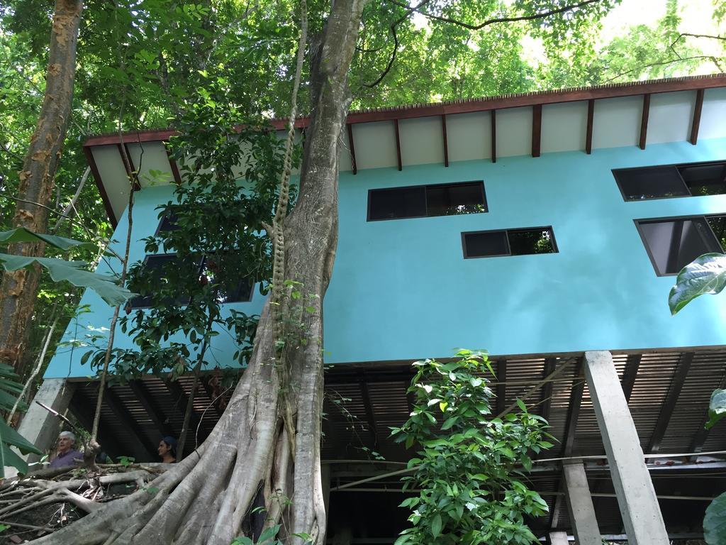 Luz En El Cielo Eco-B&B/Hostel モンテスマ 部屋 写真